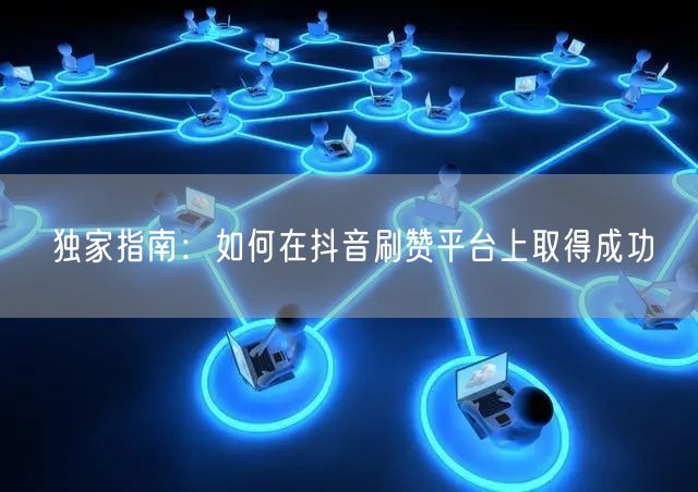 独家指南:如何在抖音刷赞平台上取得成功