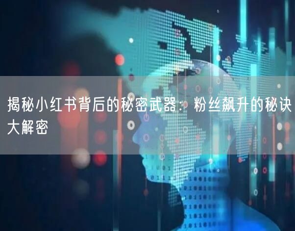 揭秘小红书背后的秘密武器:粉丝飙升的秘诀大解密