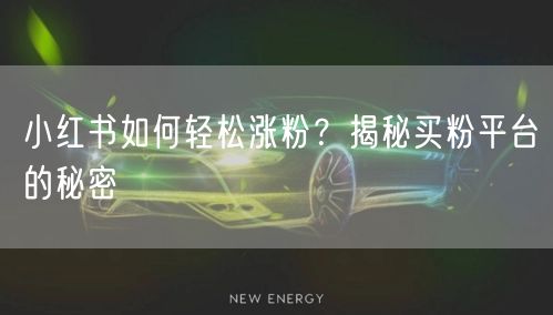 小红书如何轻松涨粉?揭秘买粉平台的秘密