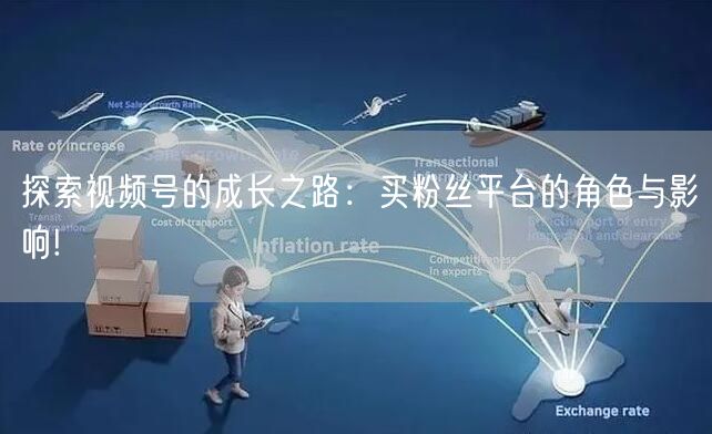 探索视频号的成长之路：买粉丝平台的角色与影响!