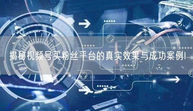 揭秘视频号买粉丝平台的真实效果与成功案例!